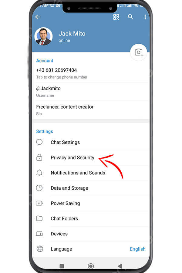 select Privacy and Security to enable telegram passcode lock