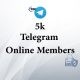 5K Telegram online members