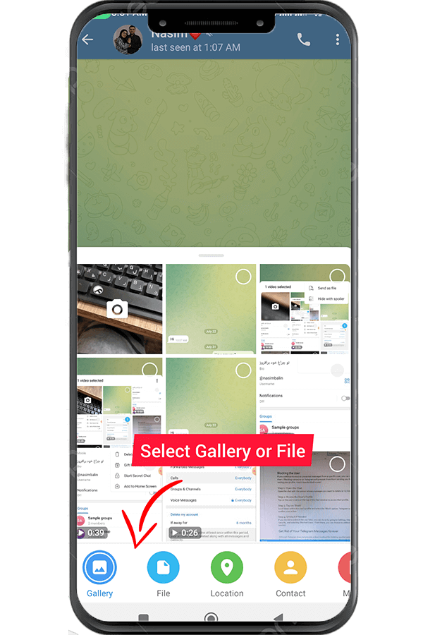 Select File or Gallery