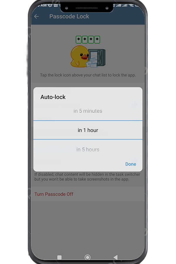 Set Auto-Lock Time
